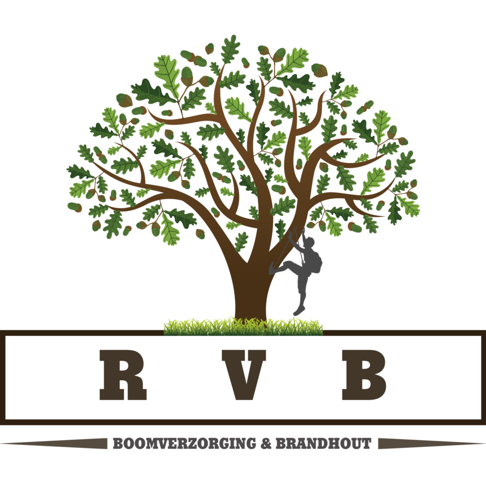 rvb_logo